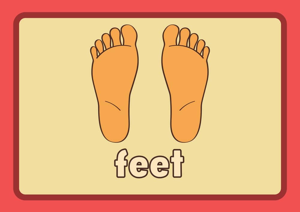 Expresiones inglés con feet
