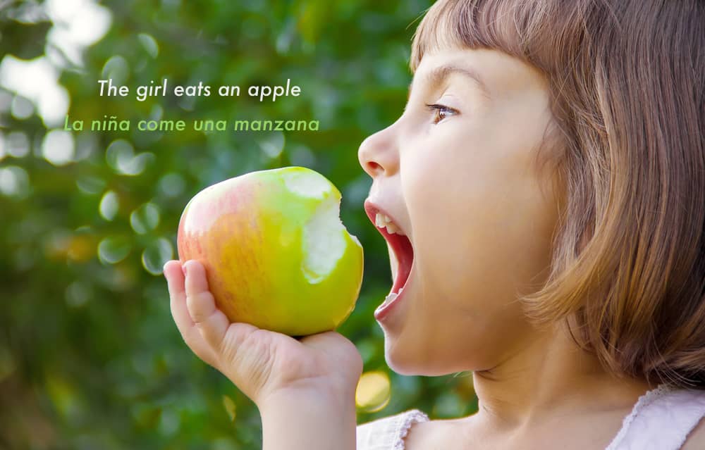 Niña comiendo una manzana, con la frase "The girl eats an apple" y su traducción al español.