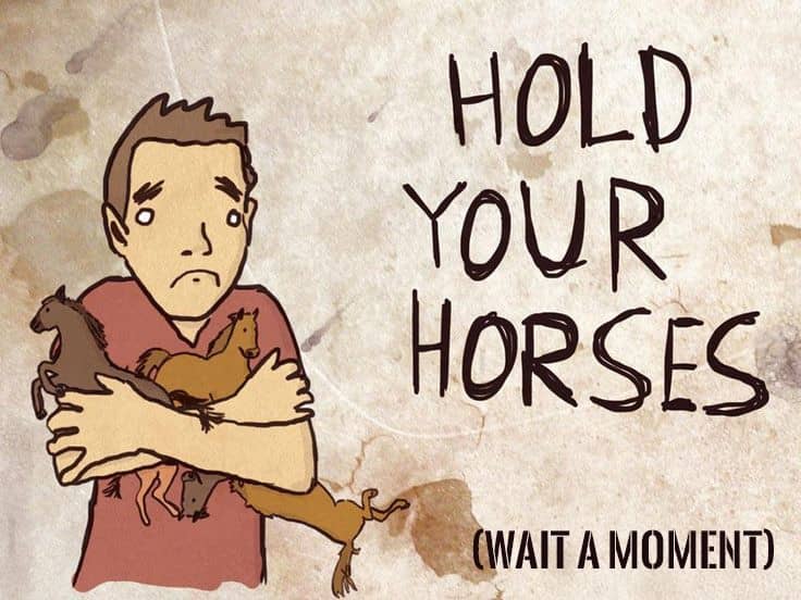 Ilustración de un hombre abrazando caballos, con el texto "Hold your horses (Wait a moment)"