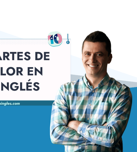 Partes de la Flor en Inglés: +20 Términos con Ejercicios