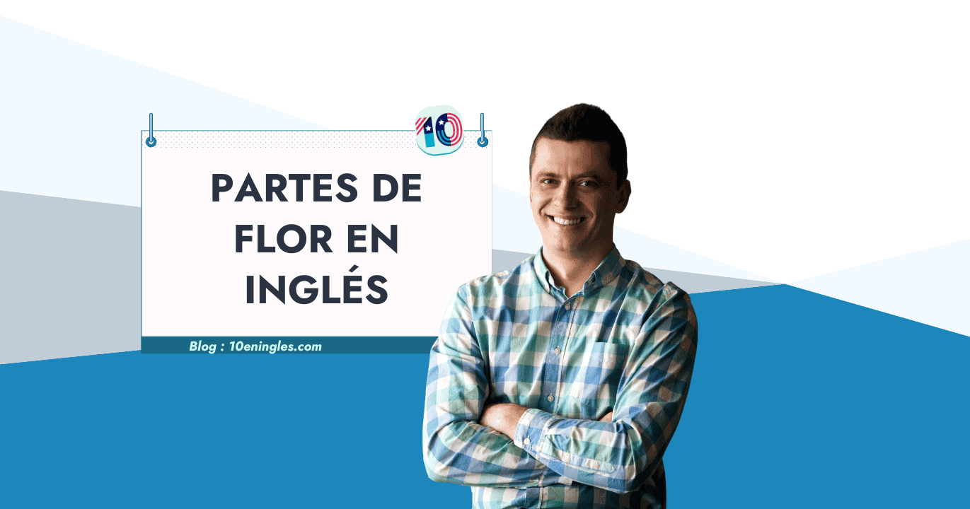 Sitemapcdatahttpautocellcare1comalcatraz Flor En Ingles